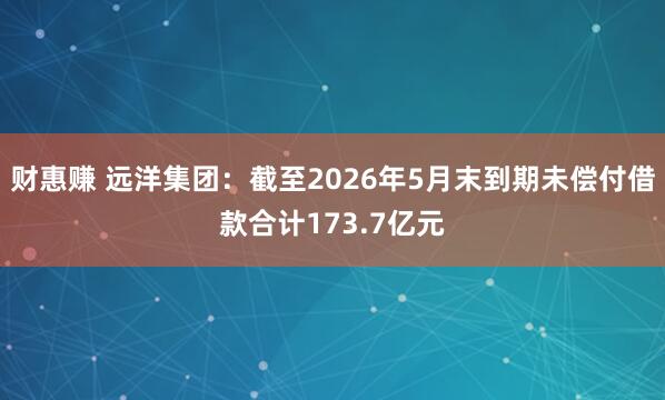 财惠赚 远洋集团：截至2026年5月末到期未偿付借款合计173.7亿元